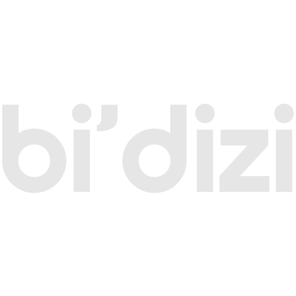 Bi'dizi